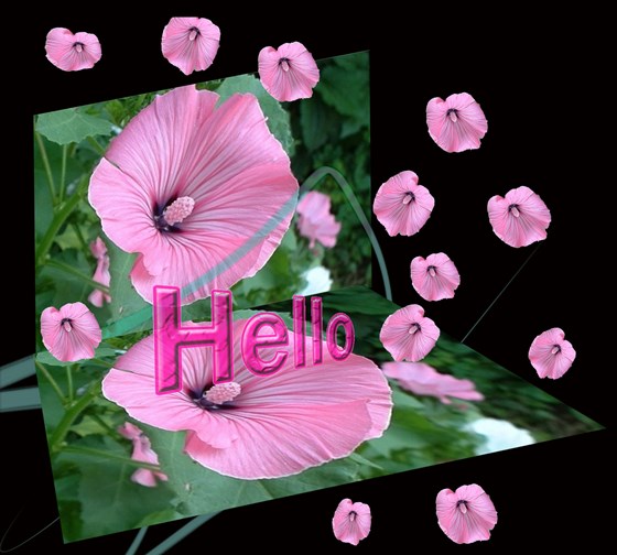 Фотографии: Flowers